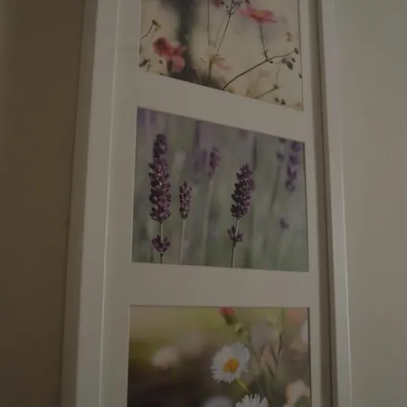 Hotel Noufara Rhodes City