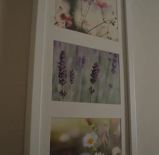 Hotel Noufara Rhodes City